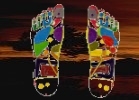 Nomedica, zoneterapi, terapi, zoner, alternativ behandling, refleksterapi, bog om zoneterapi, zoneterapibehandling, zoneterapeut, zoneterapeuter, sundhed, zone terapi,Hotstone, Massagekursus, Massagekurser, Akupunktur, Nåle, Ayurveda, Ayurvedisk, Trifala, Threepala, Auriculo, Øreakupunktur, Slankemassage, Massage for vægttab, Thai massage, Ancient thai, Reiki 1, Reiki 2, Reiki master, Dybdemassage, Klassisk massage, Massageolie, Massage olie, Massageolier, Massage olier, Creme, Balm, eleksir, Hot stone, Tripala, Yogamassage, Thai yoga massage, Uddannelse, Sten, Lava sten, Basalt sten, Marmor sten, River stone, Varme sten, Massagekursus, Massagekurser, LaStone, LMT, Sten terapi , Massage med varme & kolde sten, Køb sten, Sten, Leverandør af basalt & marmor sten, Zoneterapi, Chakra sten, Massage ,Thermoterapi, Thermo terapi, Hydroterapi ,Stone therapy, Stone therapy skolen, Skole ,Holistisk ,Meridian, Alternativ terapi, Alternativ, Natural therapy, Aromaterapi, Essentielle oiler, Alternative kurser, Reiki, Shiatsu, Healing, Nina Gart